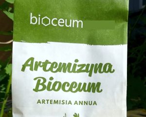Bylica roczna (Artemisia annua) Artemizyna, EKO susz, Polska