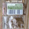 Bylica Roczna Artemisia Annua (Artemizyna) - EKO nasiona 0,2 g - obrazek 4
