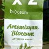 Zestaw 2x EKO susz Bylica Roczna (Artemisia annua) + CBD 3% - obrazek 2