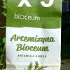 Zestaw 5x  EKO susz Bylica Roczna (Artemisia annua) 375g