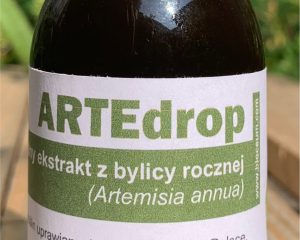 Naturalny, ekologiczny ekstrakt ziołowy z Bylicy rocznej (Artemisia annua).
