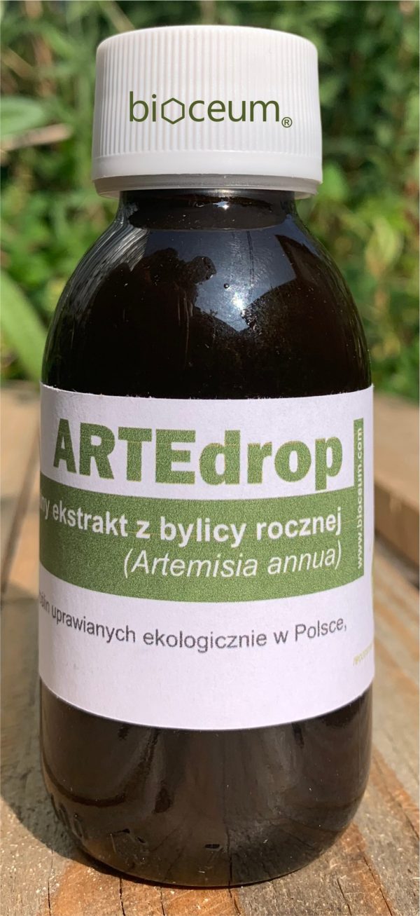 Naturalny, ekologiczny ekstrakt ziołowy z Bylicy rocznej (Artemisia annua).