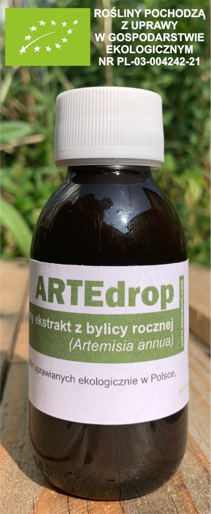 nalewka z artemizyną