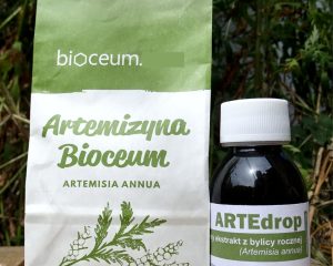 Bylica roczna nalewka (ekstrakt ziołowy) + susz