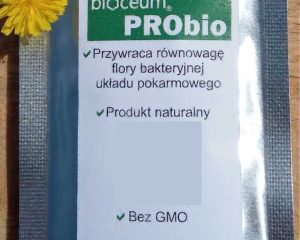 probiotyki