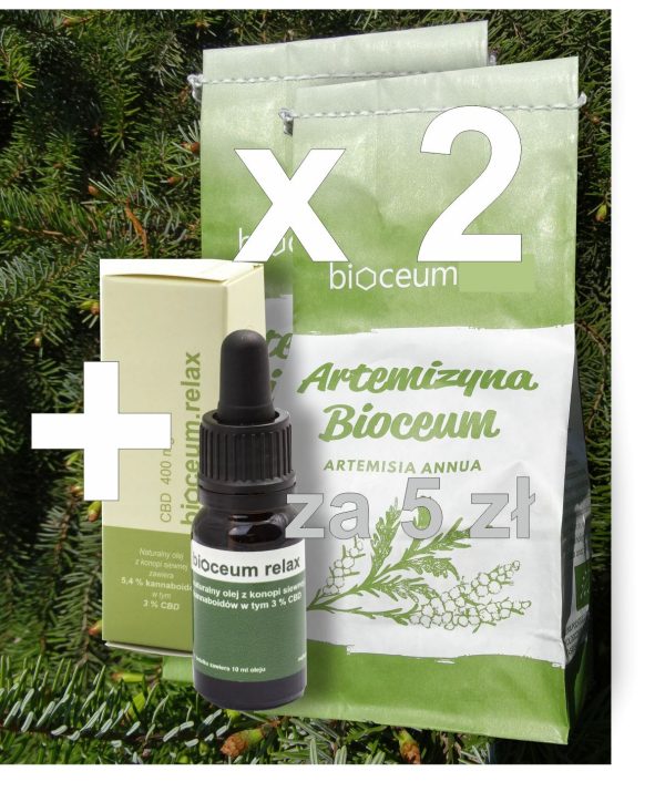 Zestaw 2x EKO susz Bylica Roczna (Artemisia annua) + CBD 3%