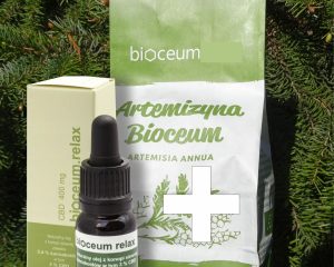 Zestaw EKO susz Bylica Roczna (Artemisia annua) + CBD 3%