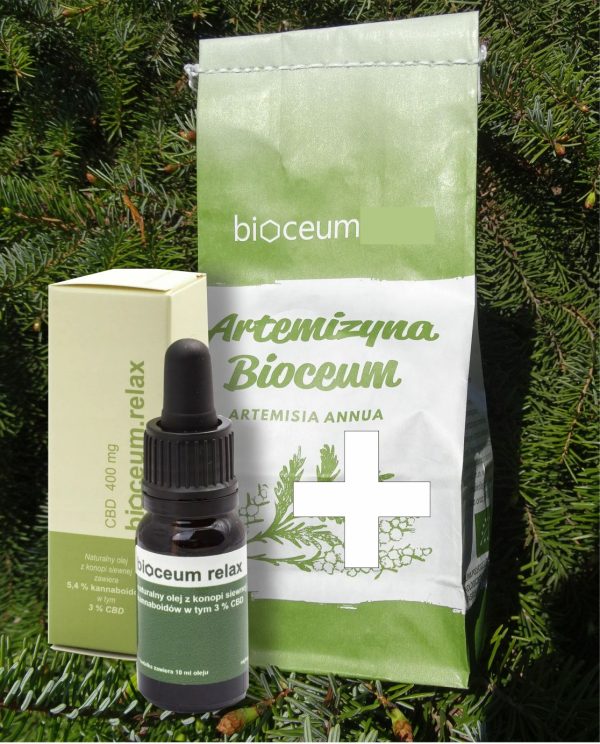 Zestaw EKO susz Bylica Roczna (Artemisia annua) + CBD 3%