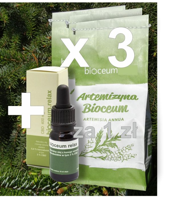 Zestaw 3x EKO susz Bylica Roczna (Artemisia annua) + CBD 3%