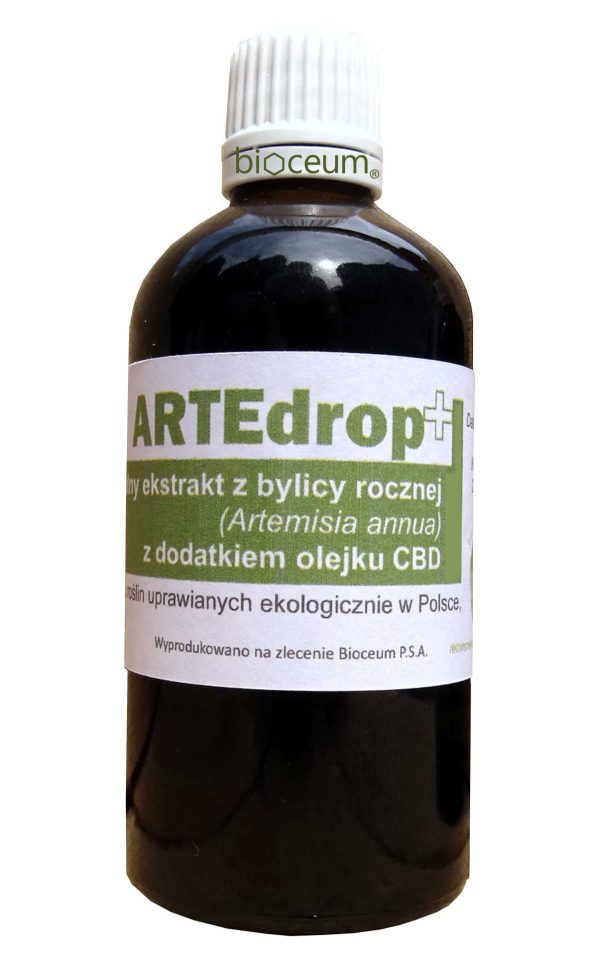 Naturalny, ekologiczny ekstrakt ziołowy z Bylicy rocznej (Artemisia annua) z dodatkiem olejku CBD. - obrazek 2