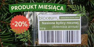 Nasiona bylicy rocznej artemisia annua 0,2g