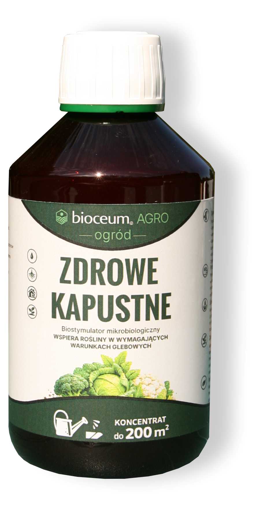 Biostymulator Mikrobiologiczny Zdrowe Kapustne